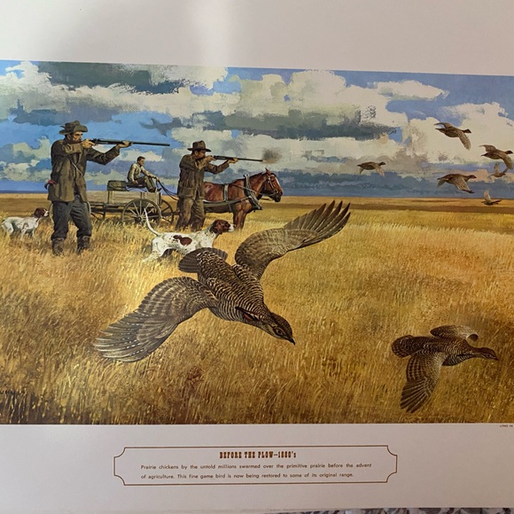 Remington Arms 150th anniversary prints. Circa 1966. In good Vintage condition. - Picture 5 of 11